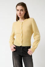 Load image into Gallery viewer, AMT Limon Cardigan